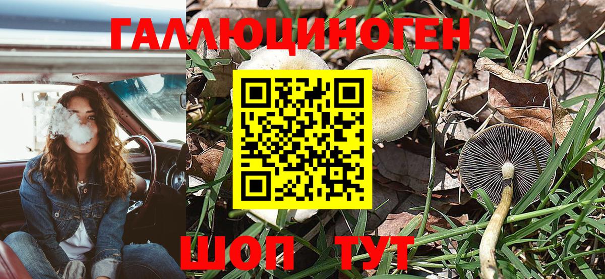 Ишимбай  Галлюциногенные грибы прущие грибы  Вход с VPN 